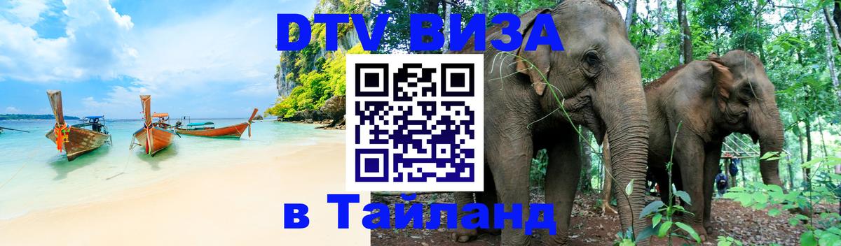 Оформление DTV визы под ключ: стоимость и тарифы, только загранпаспорт - 